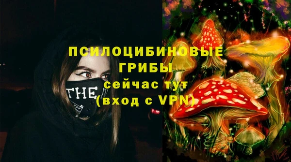 соль курить ск Алексеевка