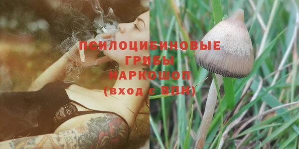 соль курить ск Алексеевка