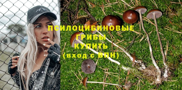 соль курить ск Алексеевка