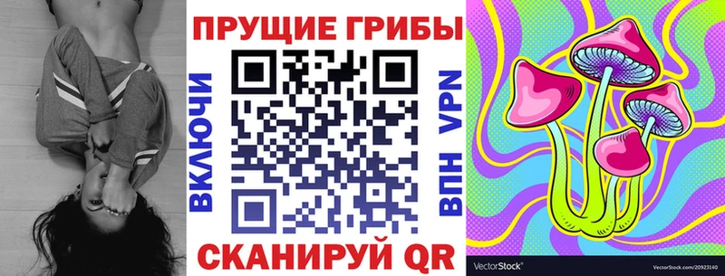 купить закладку  Севастополь  KRAKEN ССЫЛКА  Псилоцибиновые грибы мухоморы 